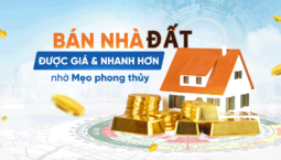 meo-ban-dat-nhanh0nho-meophongthuy-nay